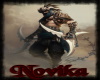 Novika Banner