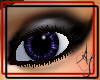 Rays- Purple Eyes