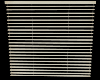 School Blinds 1