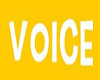 Teen Voice Box