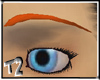 [T2] Eyebrows - Copper