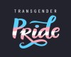 Trans Pride Laptop Pose