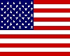 *cerb* USA Flag