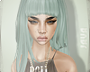 ! Xia mint