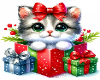 Cotout Natal /F