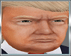 Donald Trump Head