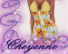 C~ Sundress V4