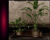 [SS] Chocolate Plant