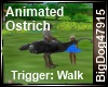 [BD] Animated Ostrich