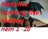 Metallica Nothing Else 