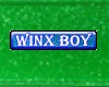 Winx Boy Sticker