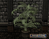 JL Plant 7