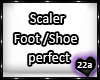 22a_Foot - Shoe Scaler