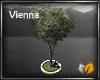 (ED1)Vienna trees-2