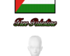 Free Palestine Headsign