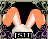 Sh! PVC Bunny~ Orange