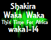 Music Shakira Waka Waka