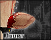 <~ RabbitDoubt Tail