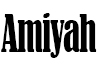 TK-Amiyah Chain Sliver F