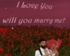 Y*Will you marry me?
