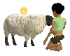 Farm Sheep Animated