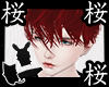 Ko ll Japan Hair Red