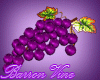 Tempranillo Grape Seat
