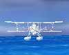 Sea Biplane 123