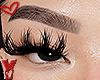Ỿ | NY lashes