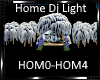 *Home Dj Light