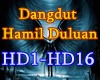 f3~Dangdut Hamil Duluan