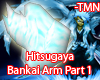 Hitsugaya BankaiArmPart1