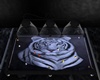 white tiger pool table