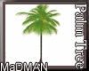 Animated Palm Tree V4