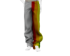 TN ! Pants Colors