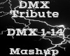 DMX Tribute -Mashup-