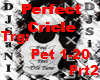 Pet a Perfect circle #2