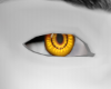 Glossy Yellow eyes