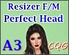PERFECT Head 👩🏽 A3