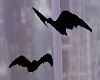 7 Black Bats