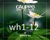 calippo - What is house