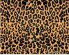 Leopard net 