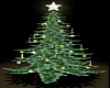 Christmas Tree G n S