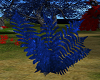 Drayconis bush blue