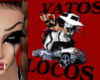 VATOS LOCOS SHADOW