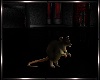 Witches Animated Rat