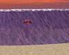 beach 33