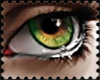 BD* Irish Eye Stamp