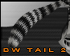 BW tail 2