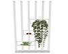 SUNFLOWER DIVIDER